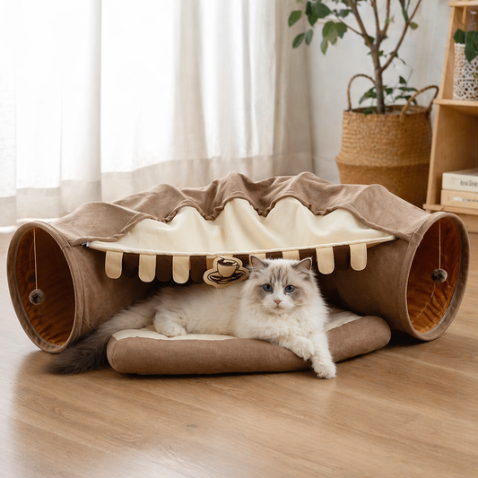 Cat lying on a coffee coloured pet bed with tunnel structure in a room with plants and books.
