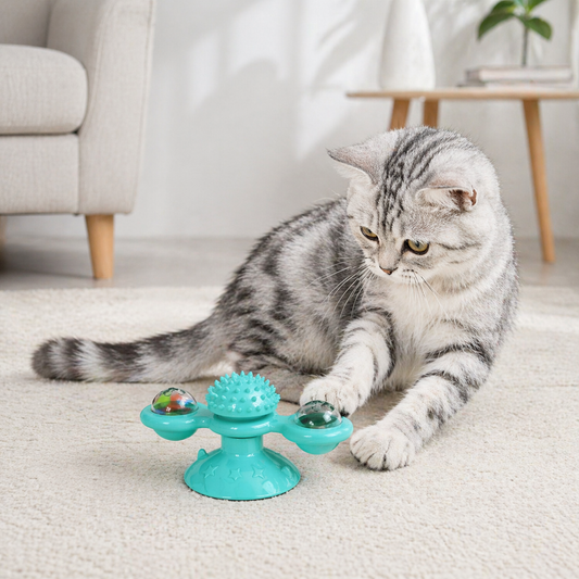 Cat playing with a teal pet toy on a carpeted floor.