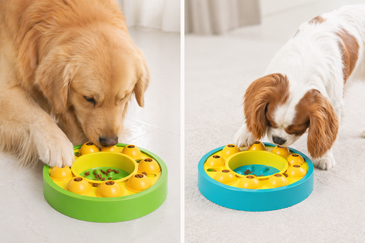 Two dogs interacting with a colorful dog puzzle toy on a light background.